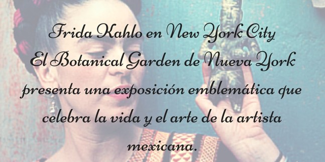 frida entrada