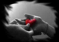 corazon