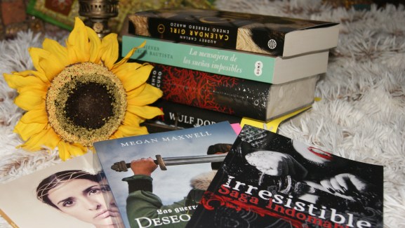 Novela erótica 2016. Libros nuevos.