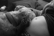 2017-01-05-18.56.31.jpg.jpeg